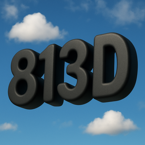 813D